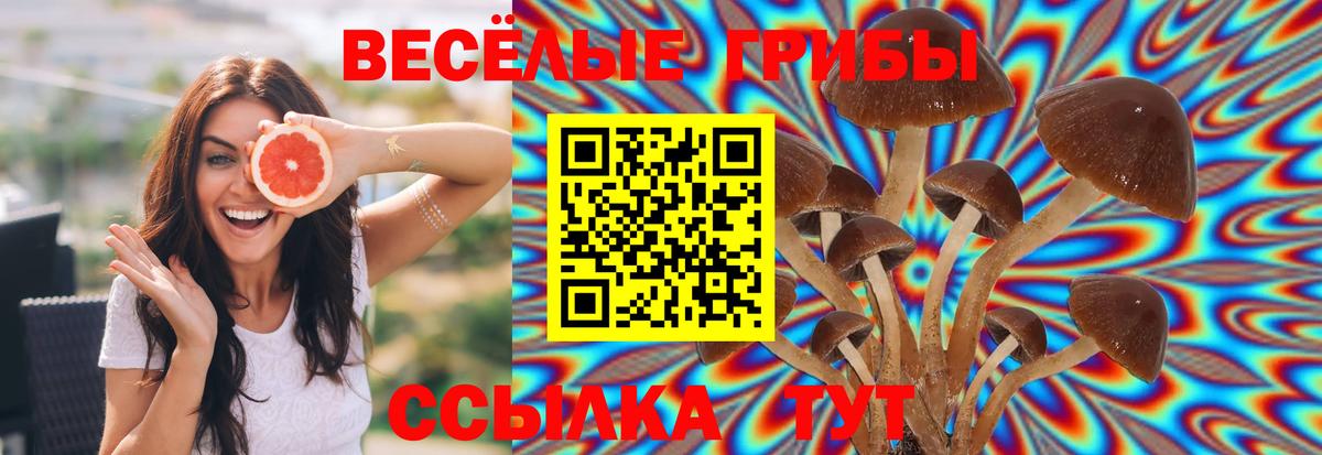 Псилоцибиновые грибы ЛСД Новотроицк