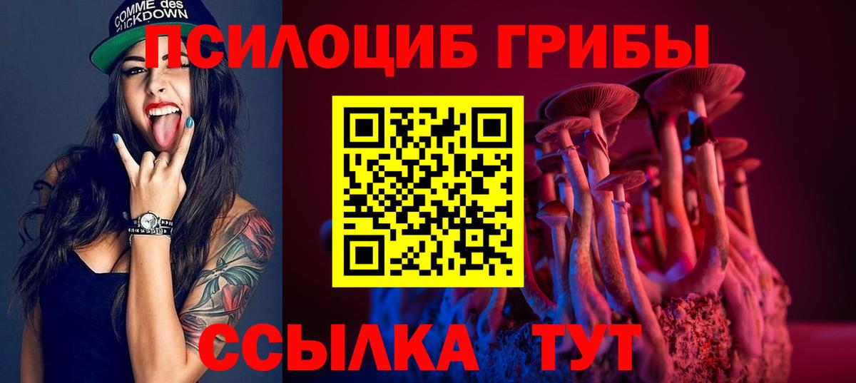 Псилоцибиновые грибы MAGIC MUSHROOMS  Вход с VPN  Галлюциногенные грибы Magic Shrooms  Новотроицк 